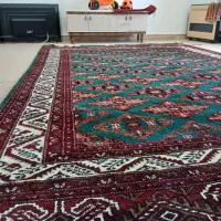 فرش دستبافت|فرش|بندر ترکمن, |دیوار