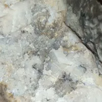 سنگ شجر عقیق