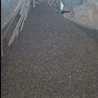 پوکه