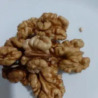 گردو درجه یک به فروش می‌رسد|خوردنی و آشامیدنی|شیراز, کوی زهرا|دیوار