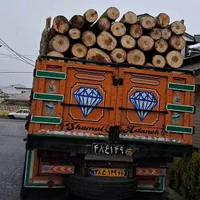 خرید چوب سرپایاقطع شده قیمت مناسب|خدمات باغبانی و درختکاری|آستانه اشرفیه, |دیوار