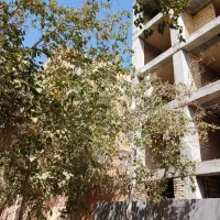 کلیه امورات ساختمان از شهرداری تا ثبت