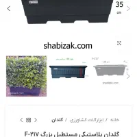 گلدان پلاستیک|گل و گیاه طبیعی|هشتگرد, هشتگرد قدیم|دیوار