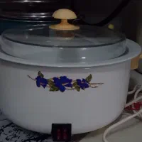 آرام پز برقی سالم ودر حدنو