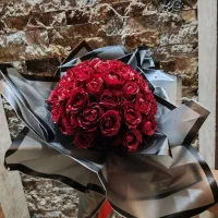 گل رز طبیعی|گل و گیاه طبیعی|مشهد, آزادشهر|دیوار