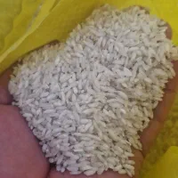 برنج عنبر بو اعلا|عمده‌فروشی|باوی, |دیوار