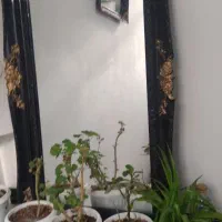 با سلام اینه قدی زیبا در ابعاد ۱۱۷در۶۷ باقاب