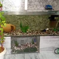 فروش شیشه آکواریوم