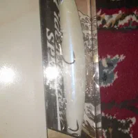 فروش لور آب شور ماهیگیری|ماهیگیری|رفسنجان, |دیوار