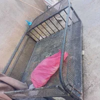 کفی مبلی قیمت توافقی