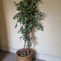 درختچه مصنوعی|گل مصنوعی|تهران, محمودیه|دیوار