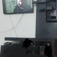 قیمت مقطوع است