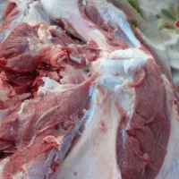 ق ص ا ب سلاخ تعدادوتکی کشتار درمحل گوسفندگوسال بز