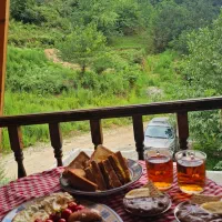 اجاره کلبه سوئیسی دوبلکس لفور