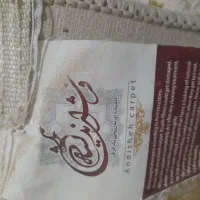 فرش 1200شانه|فرش|زاهدان, |دیوار