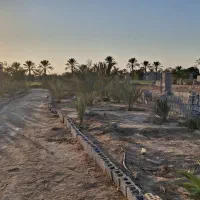 باغ شهری میاندشت 1000 متر  کشاورزی|فروش زمین و ملک کلنگی|آبپخش, |دیوار