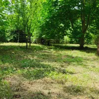 ۴۰۰ مترزمین کاملاً مسکونی درمرکز شهرسنگر