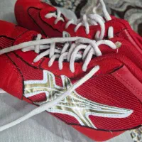 کفش وکلاه بوکس کاملآنو|کیف، کفش، کمربند|سیلوانه, |دیوار