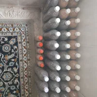 بذر سفید و بنفش