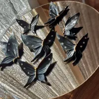 پروانه نگین دار