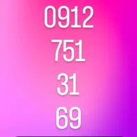 09127513169