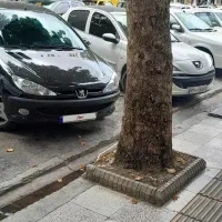پژو ۲۰۶ تیپ ۲|خودرو سواری و وانت|گنبد کاووس, |دیوار