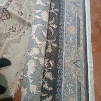 فرش|فرش|مشهد, یوسفیه (شهرک غرب)|دیوار