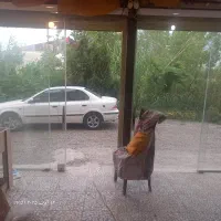 مغازه یا انبار|اجارهٔ مغازه و غرفه|رشت, سیا اسطلخ|دیوار