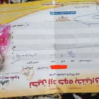 گوشواره و پلاک نو|جواهرات|نورآباد, |دیوار