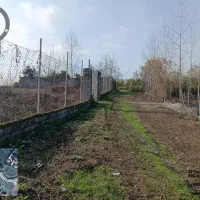 زمین ۳ بر باکاربری مسکونی و پروانه ساخت ویلایی|فروش زمین و ملک کلنگی|املش, |دیوار