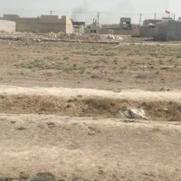 زمین ۱۵۰ متر قلعه چنعان ولایت ۶|فروش زمین و ملک کلنگی|کارون, |دیوار