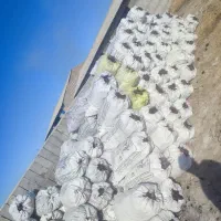 فروش زغال کبابی فقط بصورت عمده ارسال از شهرستان