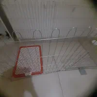 پار ک سگ