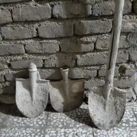 بیل