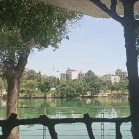 داوطلبانه
