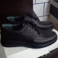 کفش کاملا نو