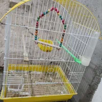 قفس پرنده