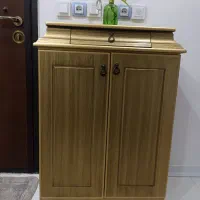 جاکفشی طلایی