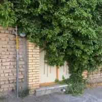 ۶۵ متر ملک کلنگی/ در بافت فرسوده/ قابلیت تجمیع