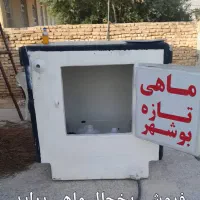 یخچال پراید وانت