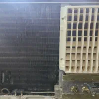 کولر اوجنرال