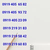 0919.3087616|سیم‌کارت|کرج, بنیاد|دیوار