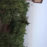 فروش خانه ویلایی 2400متری ۲ خوابه در قلعه سفید|فروش خانه و ویلا|اصفهان, نقش جهان|دیوار