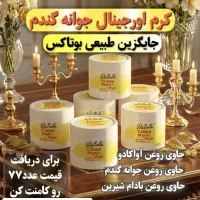 کرم جوانه گندم