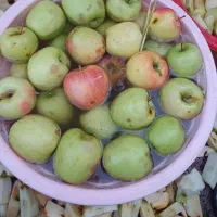 سرکه سیب خانگی|خوردنی و آشامیدنی|خوی, |دیوار