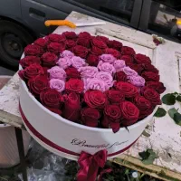 گل فروشی|گل و گیاه طبیعی|باقرشهر, |دیوار