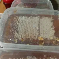 عسل طبیعی وخشکبار کرمانشاه|خوردنی و آشامیدنی|کاشان, فین بزرگ|دیوار