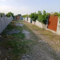 باغ-جاده-بابل-نزدیک-بافت-روستا