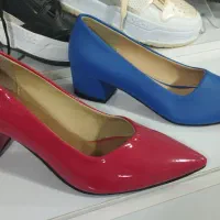 زنانه مجلسی ۱۹۹ت|کیف، کفش، کمربند|بیرجند, |دیوار