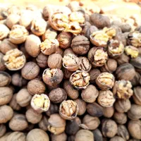 آلو خوانساری گردو سبز گردو خشک پارساله بادام|خوردنی و آشامیدنی|قم, جمکران|دیوار
